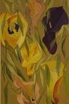 Colorful Callas