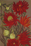 Savage Dahlia
