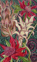 Fuchia Protea