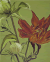 Orange & Green Lilly