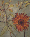 Red Daisy