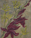 Red Stem