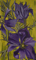 Wind Flowers