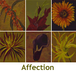 Affection